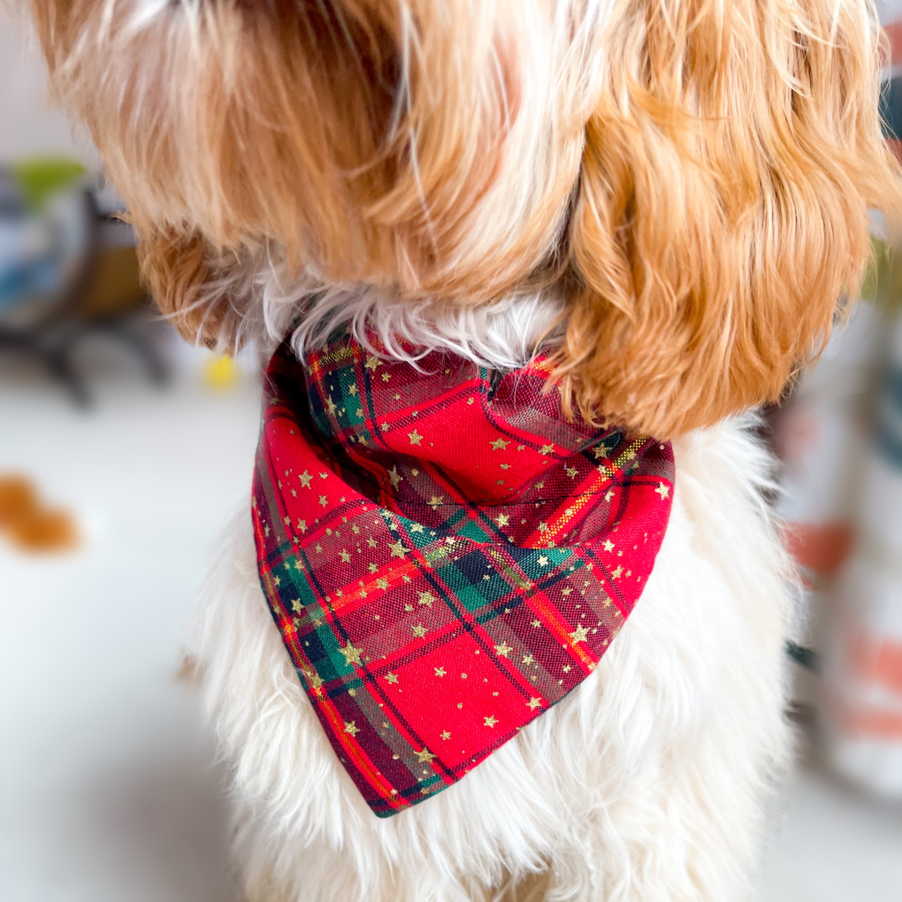 Tartan deals dog scarf